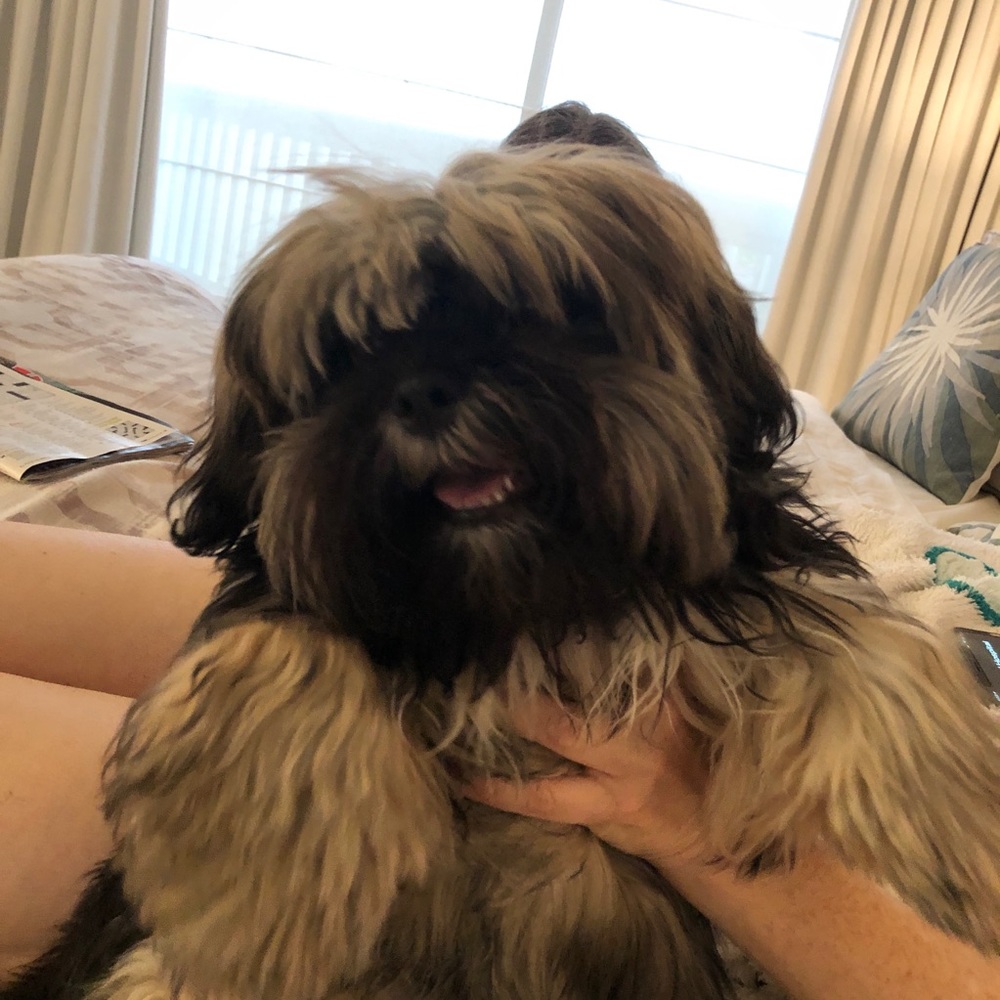 Meet your Posher, Ella